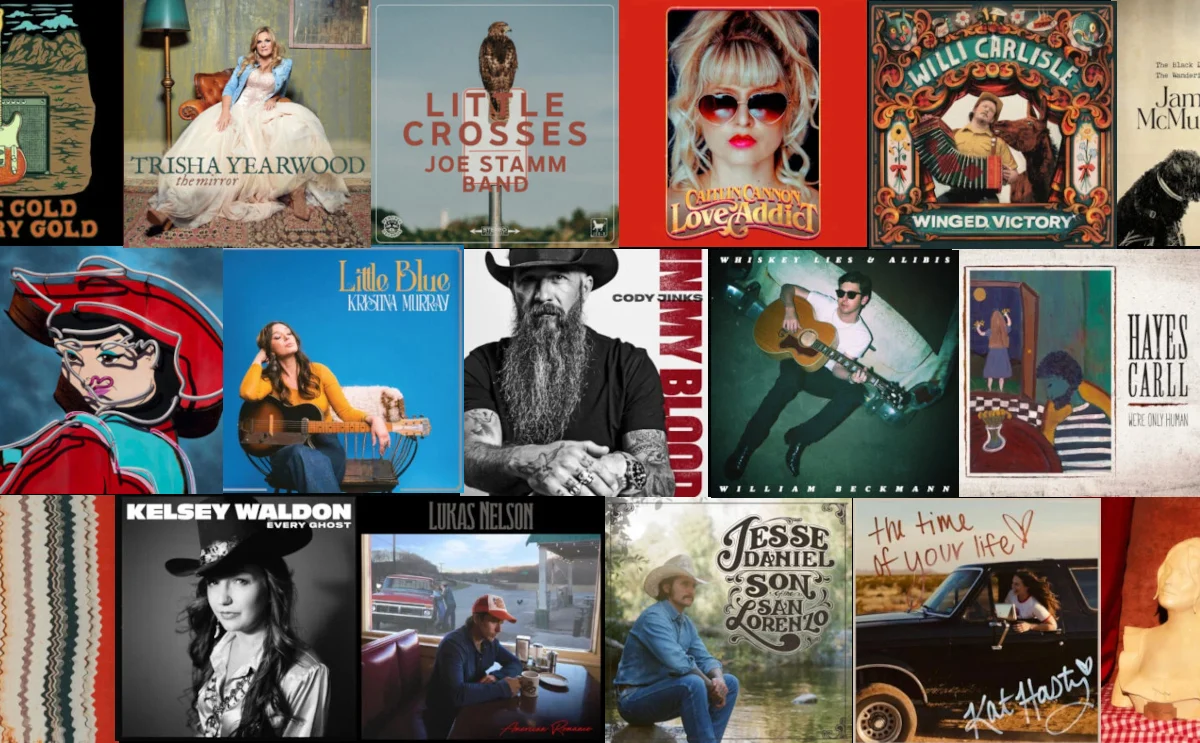 The Best New Zealand Folk Albums for First-Time Listeners